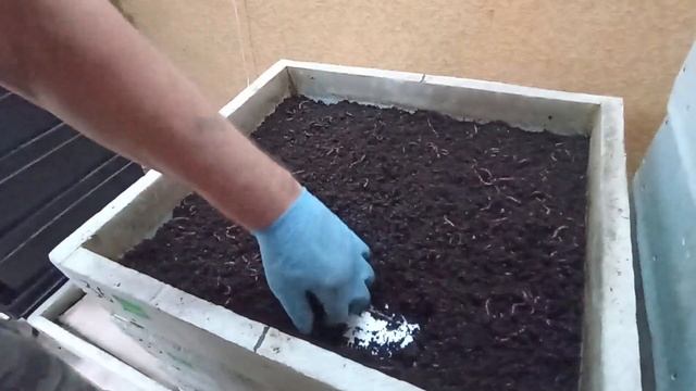 Как убрать влажность в субстрате с червём. Способ 2. смотреть онлайн