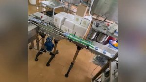 Фасовка творога в брикет с последующей запайкой в пакет