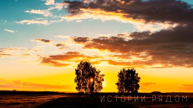 Услышав странный звук, Владимир поспешил в овраг, но увидев… смотреть онлайн
