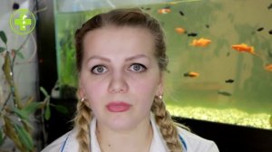 Кровь в Моче у Собаки - Причины и Что Делать // Сеть Ветклиник БИО-ВЕТ