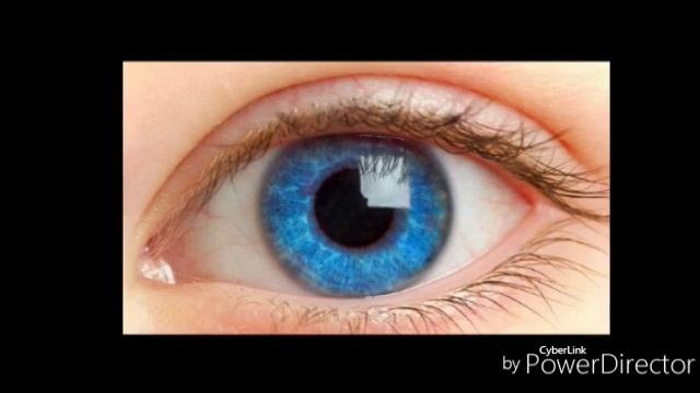 Интересные факты : почему зрачок человека расширяется и сужается?! смотреть онлайн