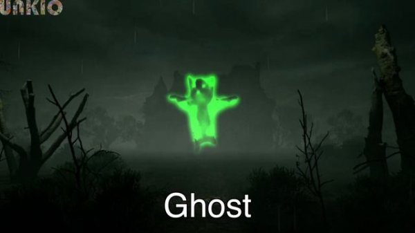 ❗"Happy Happy Happy Cat" Sound Variations in 36 Seconds❗