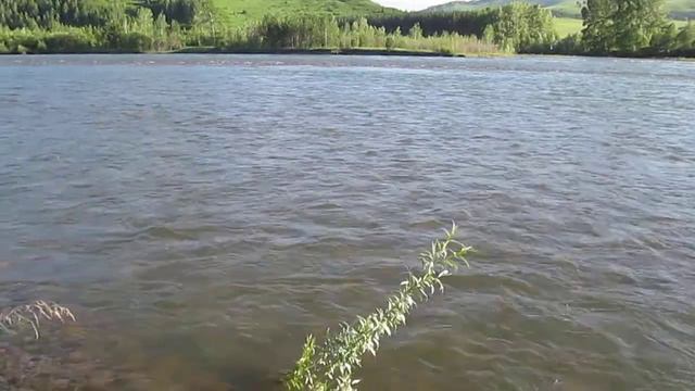 река Чарыш смотреть онлайн
