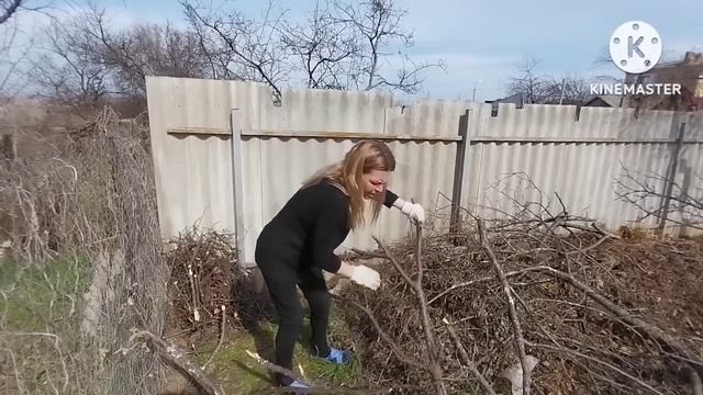 переезд на Юг/готовы к ремонту/пилим старые деревья/ очистка участка смотреть онлайн