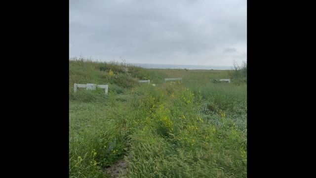 Дивно горье смотреть онлайн