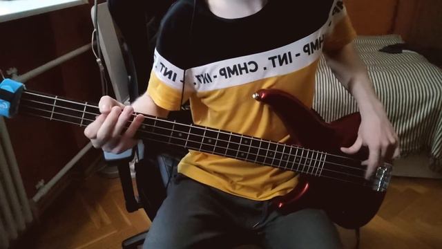 Rammstein - Zwitter (Bass Cover) смотреть онлайн