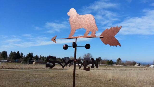Newfoundland Weathervane смотреть онлайн