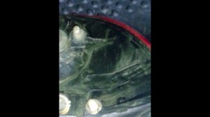 Замена лампочек задних фонарей на Лансере 9