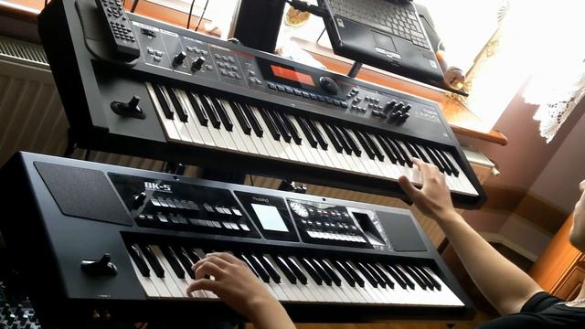 Armin Van Buuren Ft. Sharon Den Adel - In And Out Of Love ( Keyboard Cover ) Roland BK-5 & Juno Di смотреть онлайн