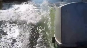 Гидрокрыло на подвесной мотор. Ветерок-8 на лодке Гладиатор 330.