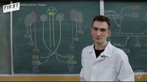 PROСТО О СЛОЖНОМ. Анатомия ЧМН. Глазодвигательный нерв. Выпуск 2