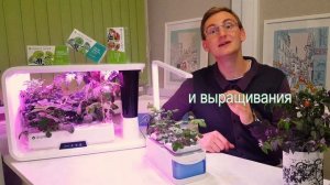 Что такое умный сад и зачем он нужен?