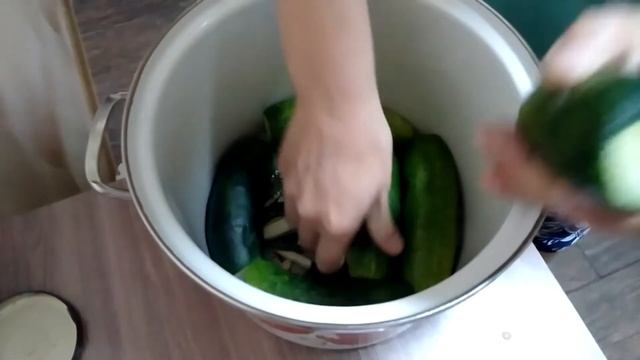 Засолка рыбы и икры в домашних условиях