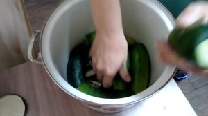 Бочковые огурцы в банке рецепт приготовления малосольных огурцов в кастрюле
