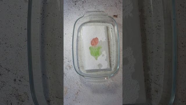 Рисование на бумажных полотенцах смотреть онлайн