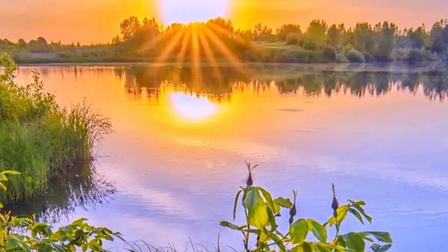 🌴❤️ You can listen to this music forever. Эту музыку можно слушать вечно. ❤️🌴 смотреть онлайн