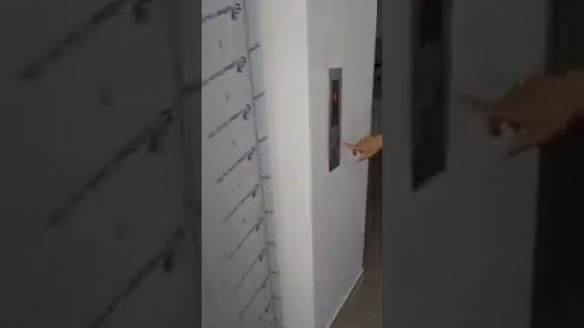 1В Шыгыс 2-подъезд лифт запустили. (Мысық өдіп қалды).