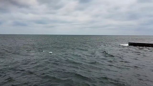 #OdessaBeaches now 💚315 #BlackSea July 8, 2023. смотреть онлайн