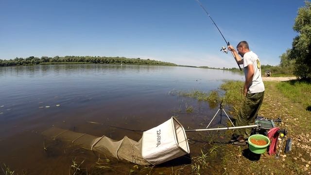 На Оке. Дневной клёв на "каменном пляжу" и ночная рыбалка на базе смотреть онлайн