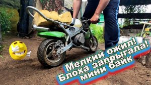 Мелкий ожил, собираем мини байк! Блоха запрыгала!