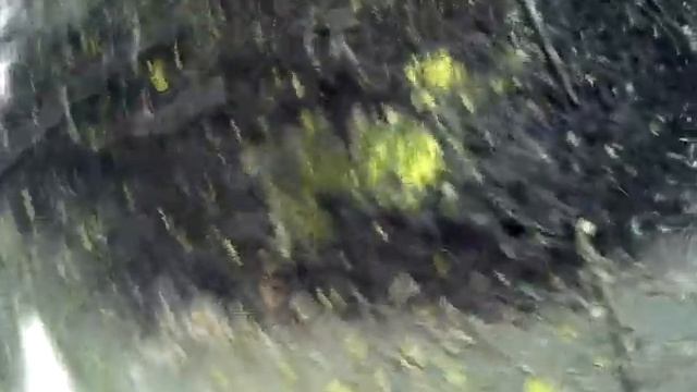 Природная купалка в лесу. / Natural Swimmer In The Forest.