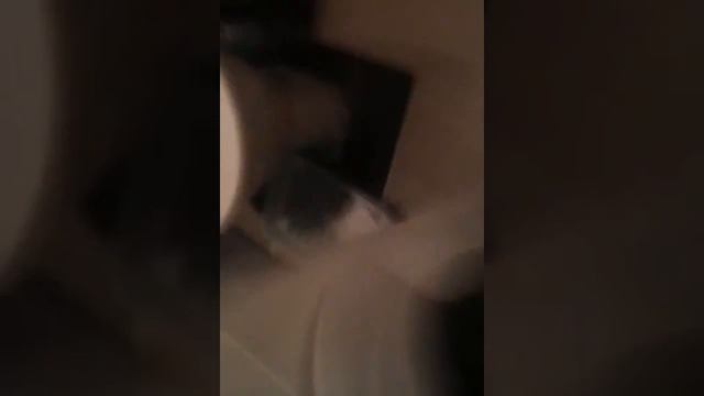 Игра дантист смотреть онлайн