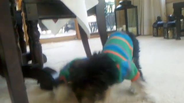 rumble & ruckus rough housing смотреть онлайн