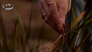 Страницы любви