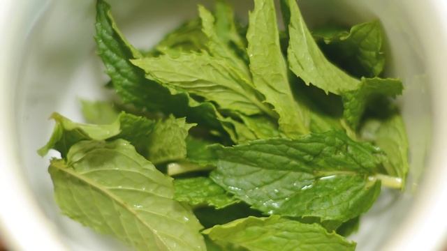 ЛИСТЬЯ ЖИЗНИ! Пару листьев МЯТЫ, и забудьте о БОЛЯЧКАХ навсегда! смотреть онлайн