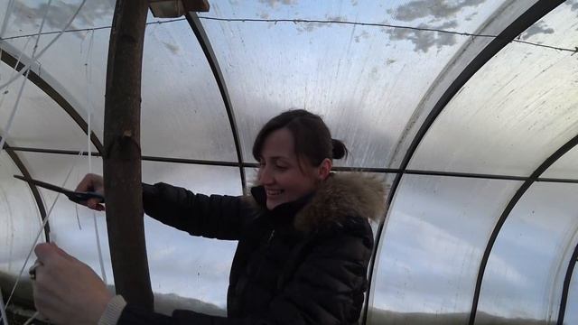 ПРЕДВАРИТЕЛЬНАЯ ПОДГОТОВКА ТЕПЛИЦЫ 03.03.2018 смотреть онлайн