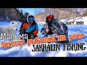 Зимняя рыбалка на реке. Сахалин, март 2020. Подводная съёмка.