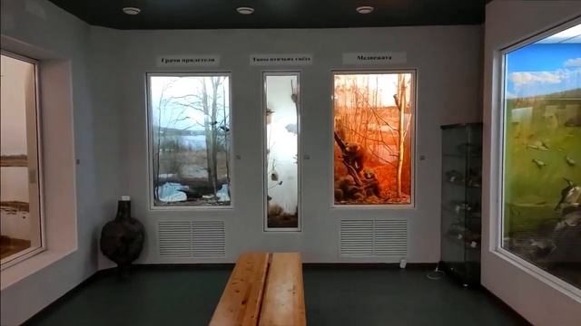 Отдел природы, Кострома 2020 смотреть онлайн