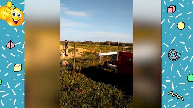 Лучшие приколы.ПРИКОЛЫ № 22 (подборка смешных видео ) приколы, лучшие приколы, юмор, смотреть онлайн