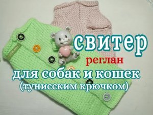 Как свзать Свитер для собаки и кошки тунисским крючком, Реглан