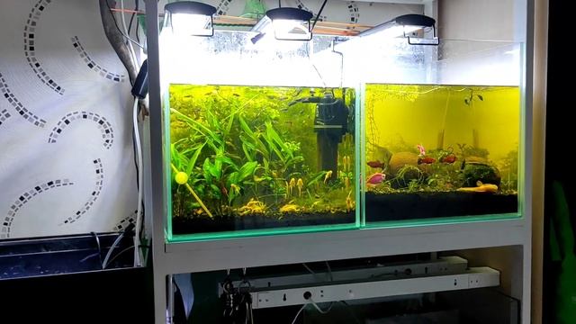 Тихий аквариумный компрессор смотреть онлайн