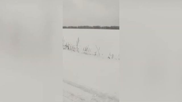 Динго Т 125 / Dingo покатушки на снегоходе. смотреть онлайн