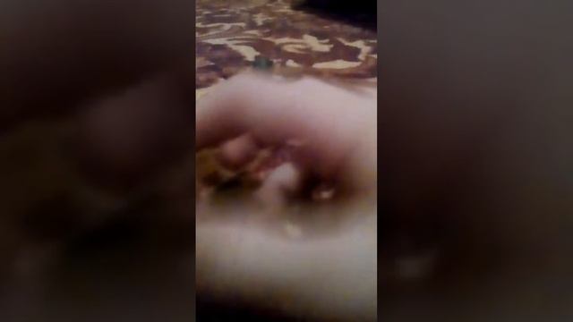 Набор лего ниндзяго эхо зейн