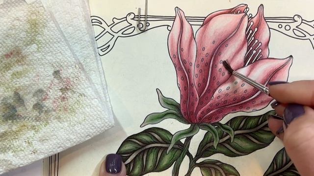 Hanna Karlzon | Seasons | Magnolia and Bird | Prismacolors and Distress Ink | Adult coloring смотреть онлайн