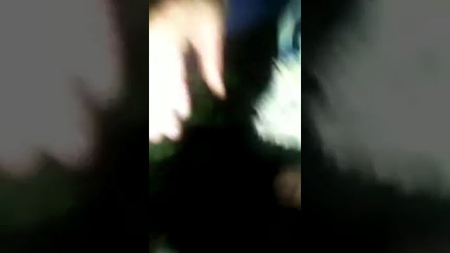 Злой ёж) смотреть онлайн