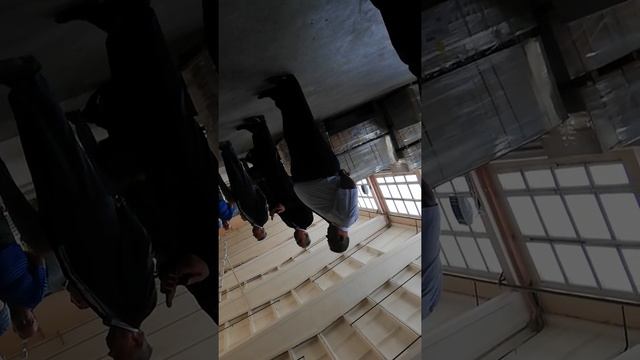 Обращение главы администрации президента к бастующим ДОП ОАО Гродножилстрой смотреть онлайн