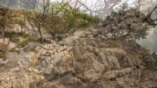 Древние стены. Алупка-Исар