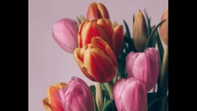 Canzone for Flute Barber PIANO ACCOMPANIMENT смотреть онлайн