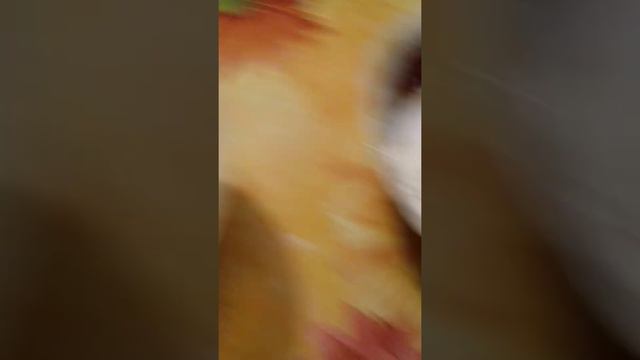убегаем на 2 мин и как сделать кекс смотреть онлайн