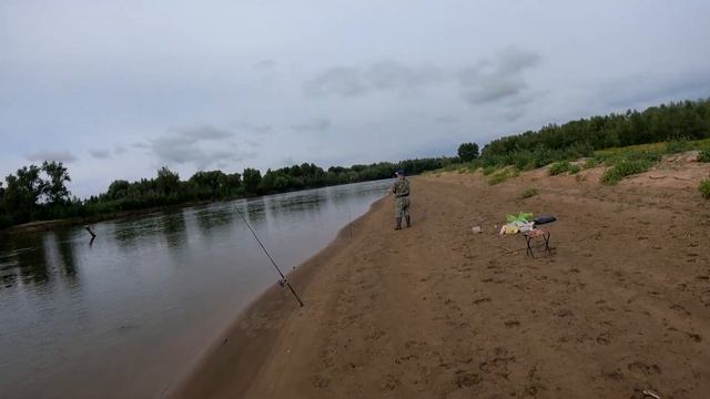 Ахтуба рыбалка на донку.Поймал ЖЕРЕХА на кастмастер. смотреть онлайн