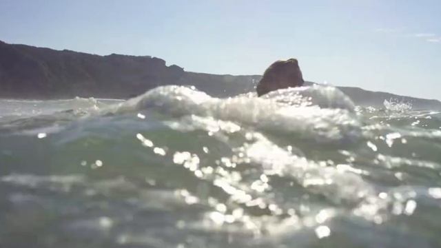 Ari, Summer, and Marlon Jump off Stairway - Surviving Summer смотреть онлайн