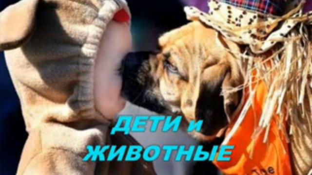 Дети и животные смотреть онлайн