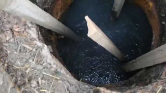 I Бросаем Карбид в Выгребную яму в 50 летний Септик, и так хочется кинуть горящую спичку 20190705