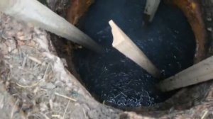 i Бросаем Карбид в Выгребную яму в 50 летний Септик, и так хочется кинуть горящую спичку 20190705