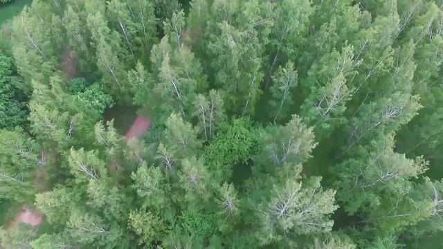 Лошицкий парк Минск Беларусь смотреть онлайн