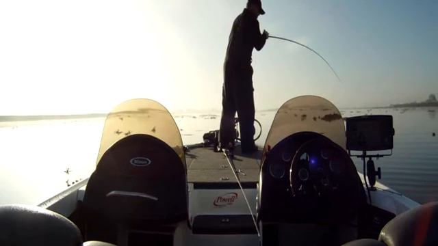 CA Delta Striper Fishing 11/2/13